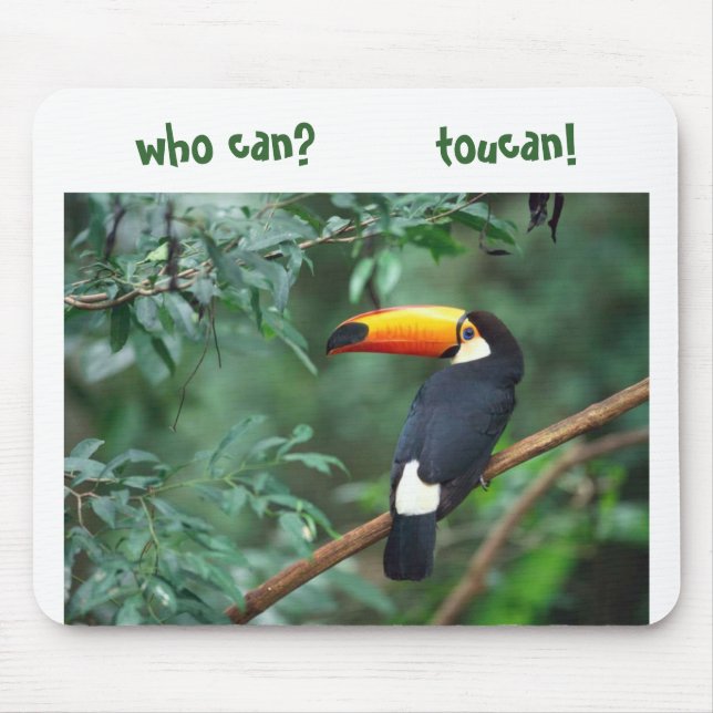 Toco Toucan, vem kan?        toucan! Musmatta (Framsidan)