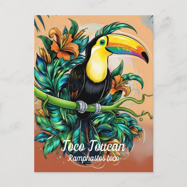 Toco Toucan Vykort (Framsida)