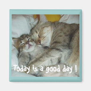 Todayen är en bra dag! Kattmagnet Magnet