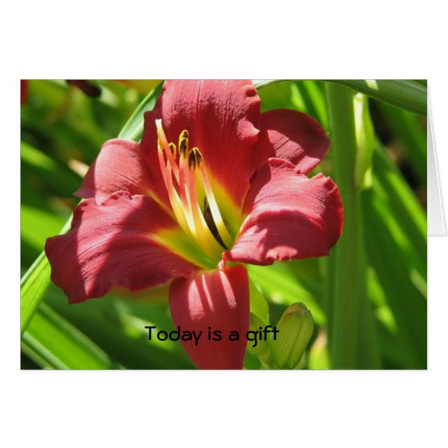 Todayen är en gåva hälsningskort (Framsidan Horizontal)