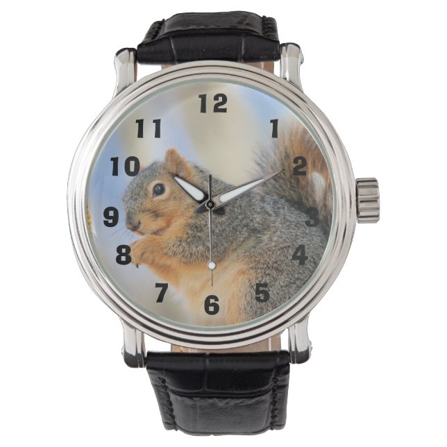 Todays furball armbandsur (Framsida)