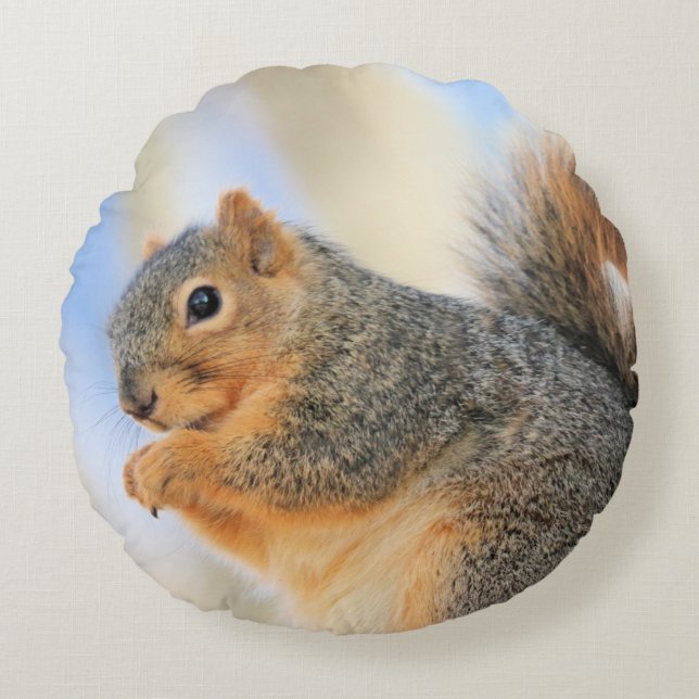 Todays furrball rund kudde (Framsidan)