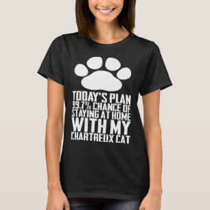 Todays planchans att stanna hemma med mitt diagram t shirt