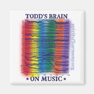 todd-hjärna magnet