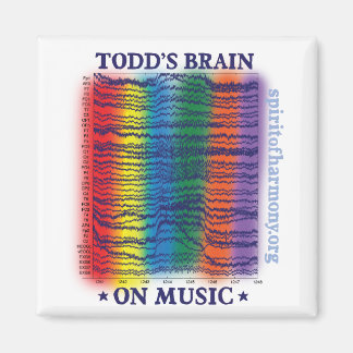 todd-hjärna magnet