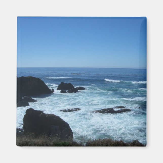 Todd's Point at Fort Bragg, Kalifornien Magnet (Framsidan)