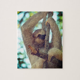 Toed Slothpussel för vild tre Pussel