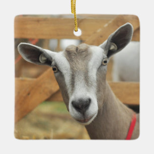 Toggenburg Dairy Goat Julgransprydnad Keramik