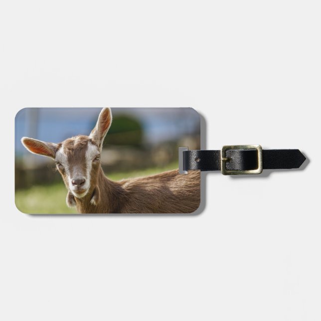 Toggenburg Dairy Goat Kid Bagagebricka (Horisontell Framsida)