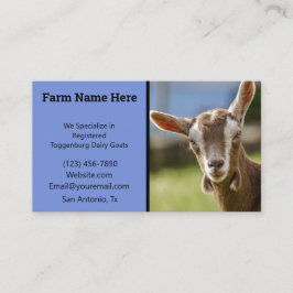 Toggenburg Dairy Goat Kid Visitkort