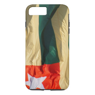 Togo-Flagga