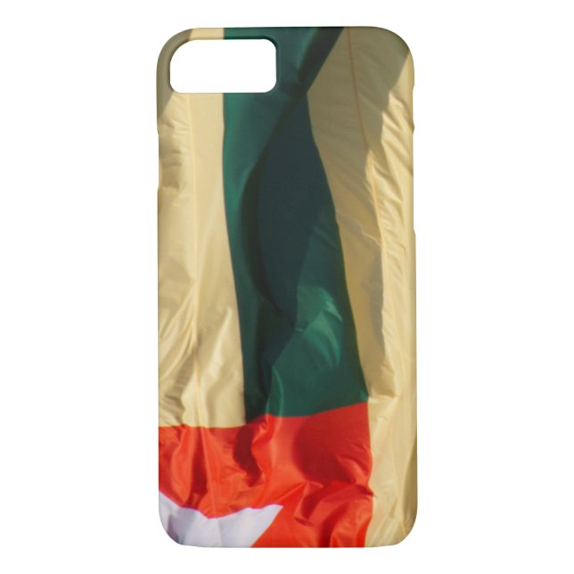 Togo-Flagga Case-Mate iPhone Skal (Baksida)