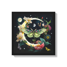 Toile tendue - Papillon de nuit