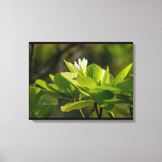 Toile "Tiare Tahiti" photographie Itata'e Hoho'a  Canvastryck