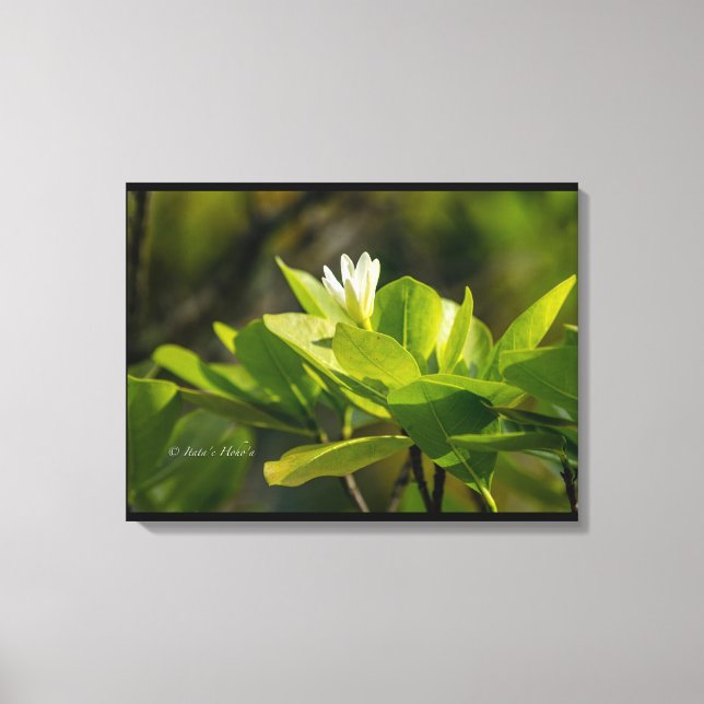 Toile "Tiare Tahiti" photographie Itata'e Hoho'a  Canvastryck (Framsida)