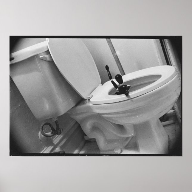 Toilet Humor Poster (Framsidan)