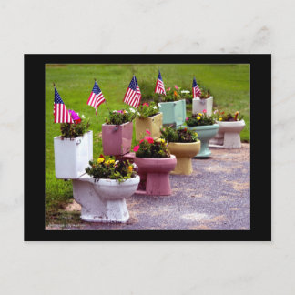 Toilet Planters Vykort