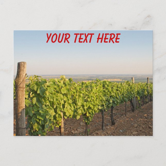 Tokaj vingårdar, Ungern anpassningsbar vykort (Framsida)