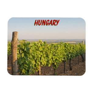 Tokaj-vingårdar, Ungern Magnet