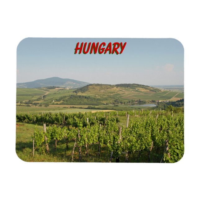 Tokaj vingårdar, Ungern Magnet (Horisontell)