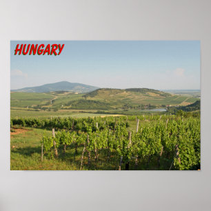 Tokaj-vingårdar, Ungern Poster