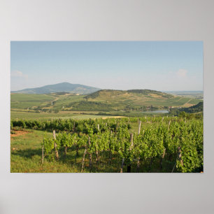 Tokaj-vingårdar, Ungern Poster
