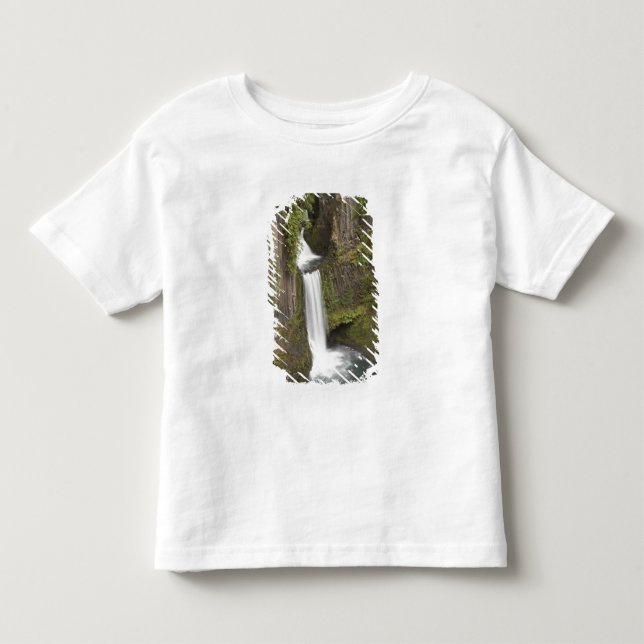 Toketee Falls i Douglas county, Oregon T-shirt (Framsida)