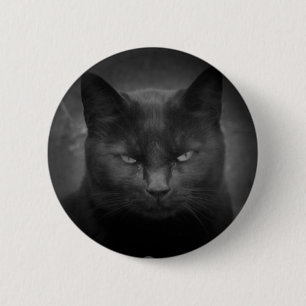 Tokig svart kattstrålkastare knapp