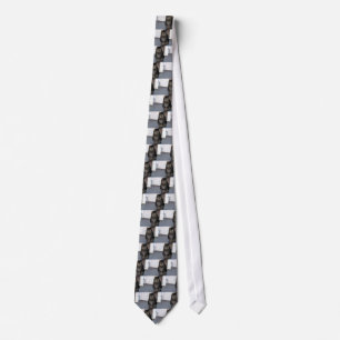 Tokig Tie. för katt Slips