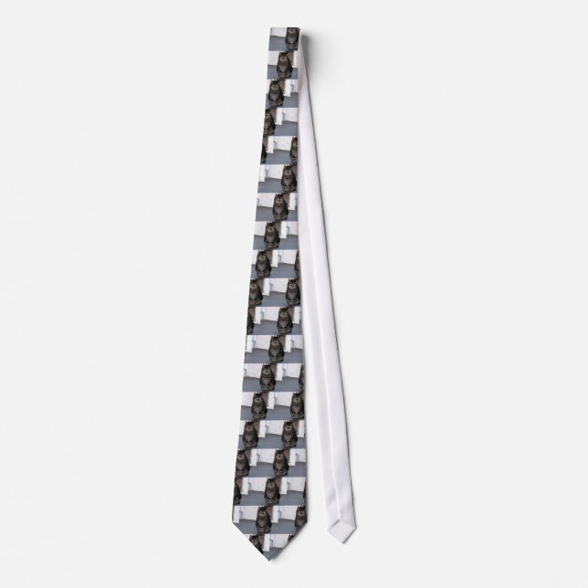Tokig Tie. för katt Slips (Framsida)