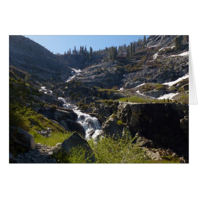 Tokopah Falls I vid Sequoia National Park Hälsningskort (Framsidan Horizontal)