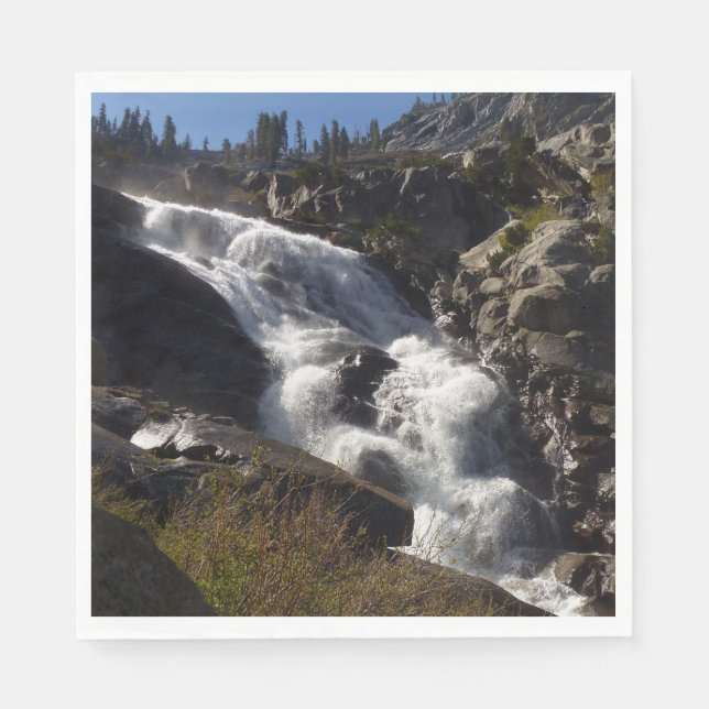 Tokopah Falls II i Sequoia National Park Pappersservett (Framsidan)