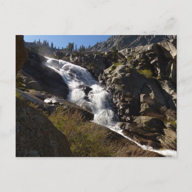Tokopah Falls II i Sequoias nationalpark Vykort (Framsida)