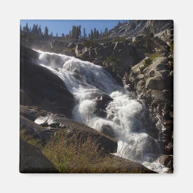 Tokopah Falls II vid Sequoia National Park Magnet (Framsidan)