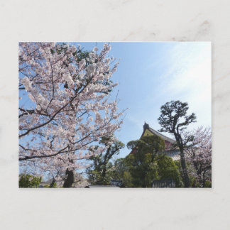 Tokyo Cherry Blommars Sakura Vykort
