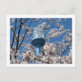 Tokyo-gatlyktor: Den'en Chofu Vykort