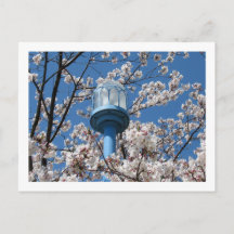 Tokyo-gatlyktor: Den'en Chofu