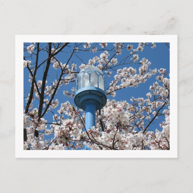 Tokyo-gatlyktor: Den'en Chofu Vykort (Framsida)