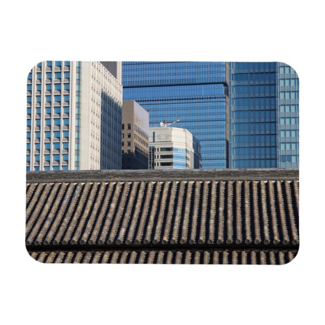 Tokyo, Japan Magnet (Horisontell)