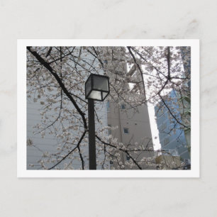 Tokyo Streetlight: Yushima Vykort