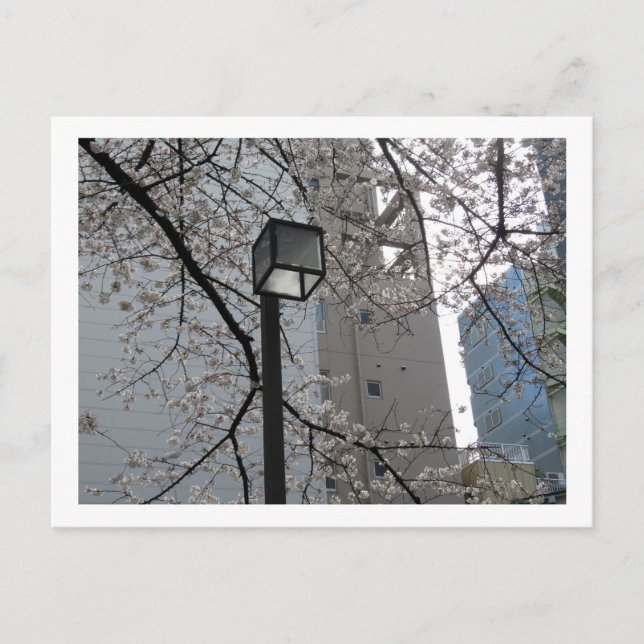 Tokyo Streetlight: Yushima Vykort (Framsida)