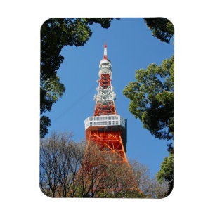 Tokyo Torn, Japan Magnet