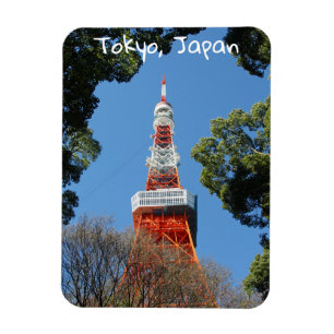 Tokyo Torn, Japan Magnet