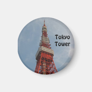 Tokyo Torn Magnet