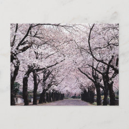 TOKYO VYKORT