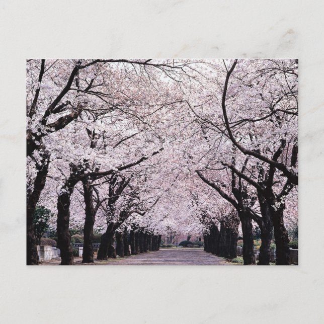 TOKYO VYKORT (Framsida)