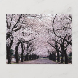 TOKYO VYKORT