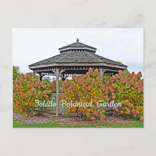 TOLEDO BOTANICAL GARDEN GAZEBO with HYDRANGEAS Vykort (Framsida)