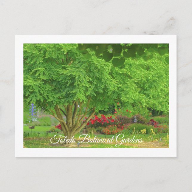 TOLEDO BOTANICAL GARDEN, TOLEDO, OHIO USA VYKORT (Framsida)