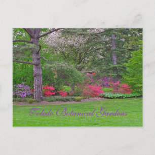 TOLEDO BOTANICAL GARDENS, VÅR, POSTCARD VYKORT
